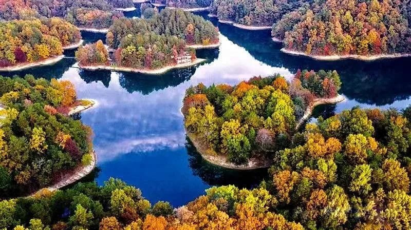 Forested islands and blue water at Qiandao Lake